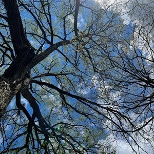 Meet your Posher, Nan